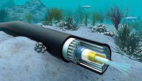海底光缆 连接世界的数字动脉